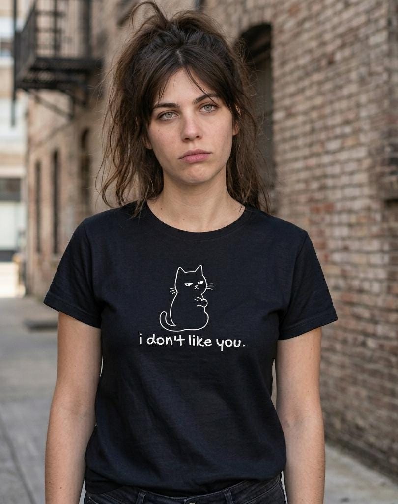 Grumpy Cat don't like you, offensive tshirt | Minimalist Cat Shirt, Sarcastic custom tee we all want to wear on Monday mornings